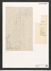 Mastogloia erythraea Grun. (de-Toni-Nr.: Genus 26, Species 1254) Zeichnungen Sammlung Grunow (NHMW-BOT-W0369559)